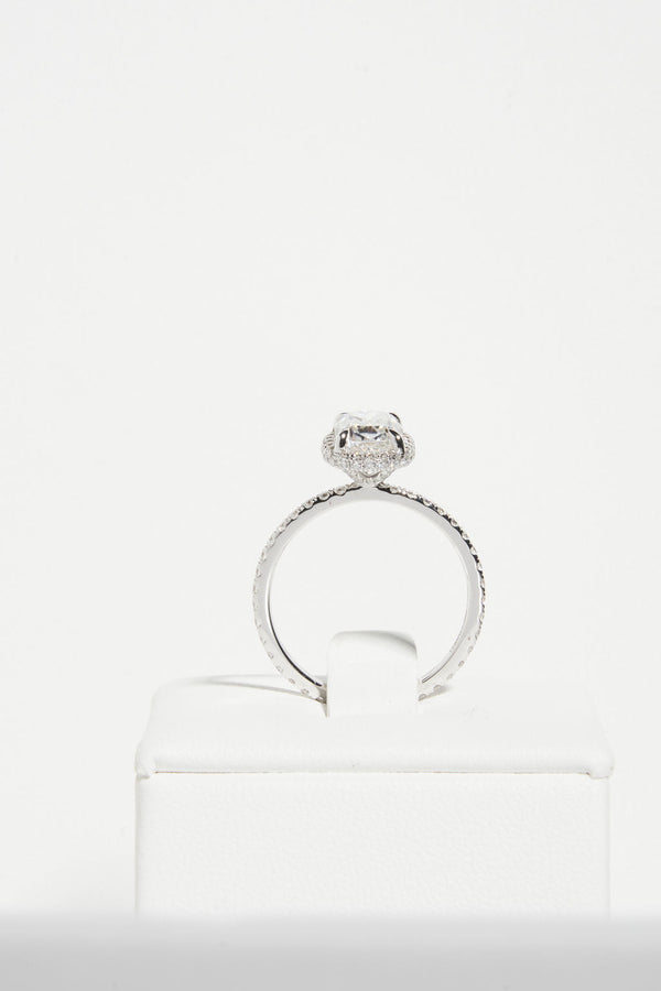 Cushion Halo
